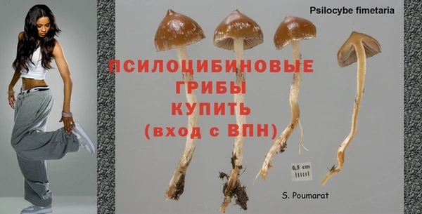 соль курить ск Алексеевка