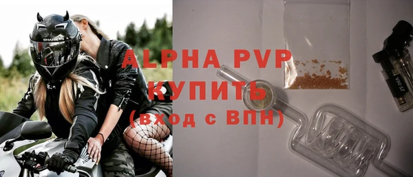 гашик Коряжма