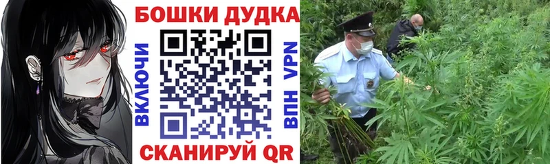 МАРИХУАНА Amnesia  Яровое 